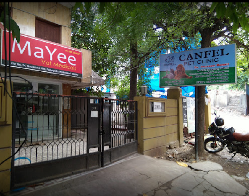 Canfel Pet Clinic - Punjagutta - Hyderabad Image