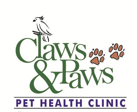 Claws And Paws Pet Clinic - Banjara Hills - Hyderabad Image