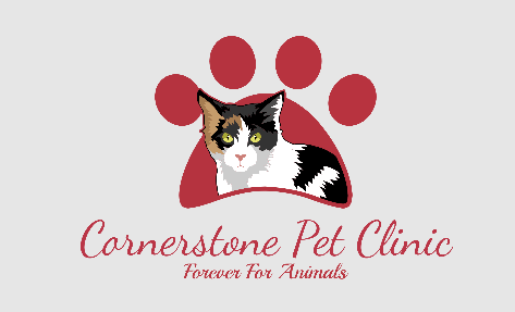 Cornerstone Pet Clinic - Banjara Hills - Hyderabad Image