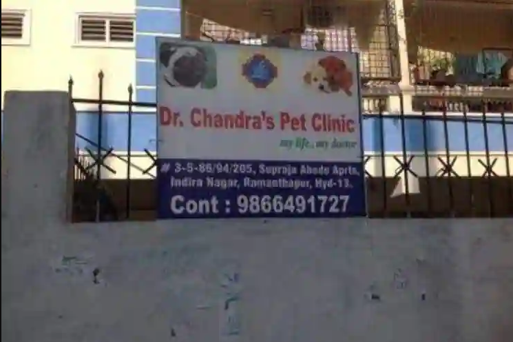 Dr. Chandra Pet Clinic - Ramanathapur - Hyderabad Image