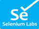 Seleniumlabs.in Image