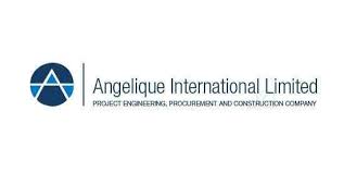 Angelique International Private Limited - Sector 125 - Noida Image