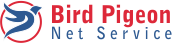 Bird Pigeon Net Services Image