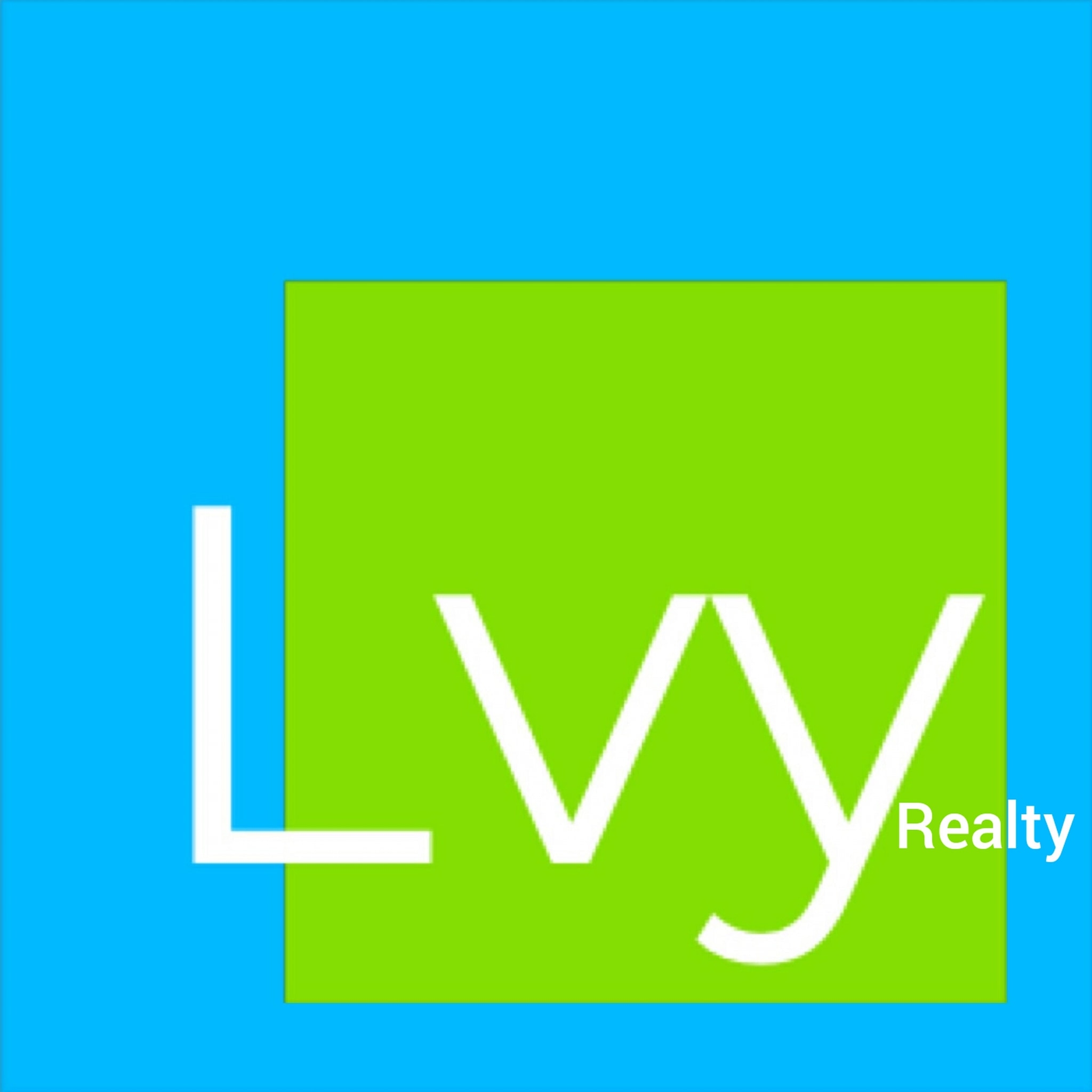 Lvy Realty - Narayangaon - Pune Image