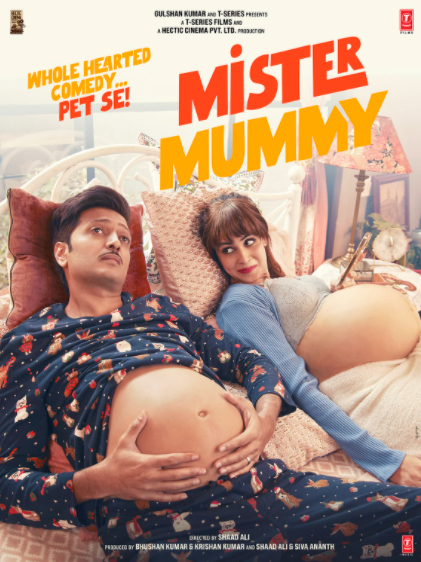 Mister Mummy Image