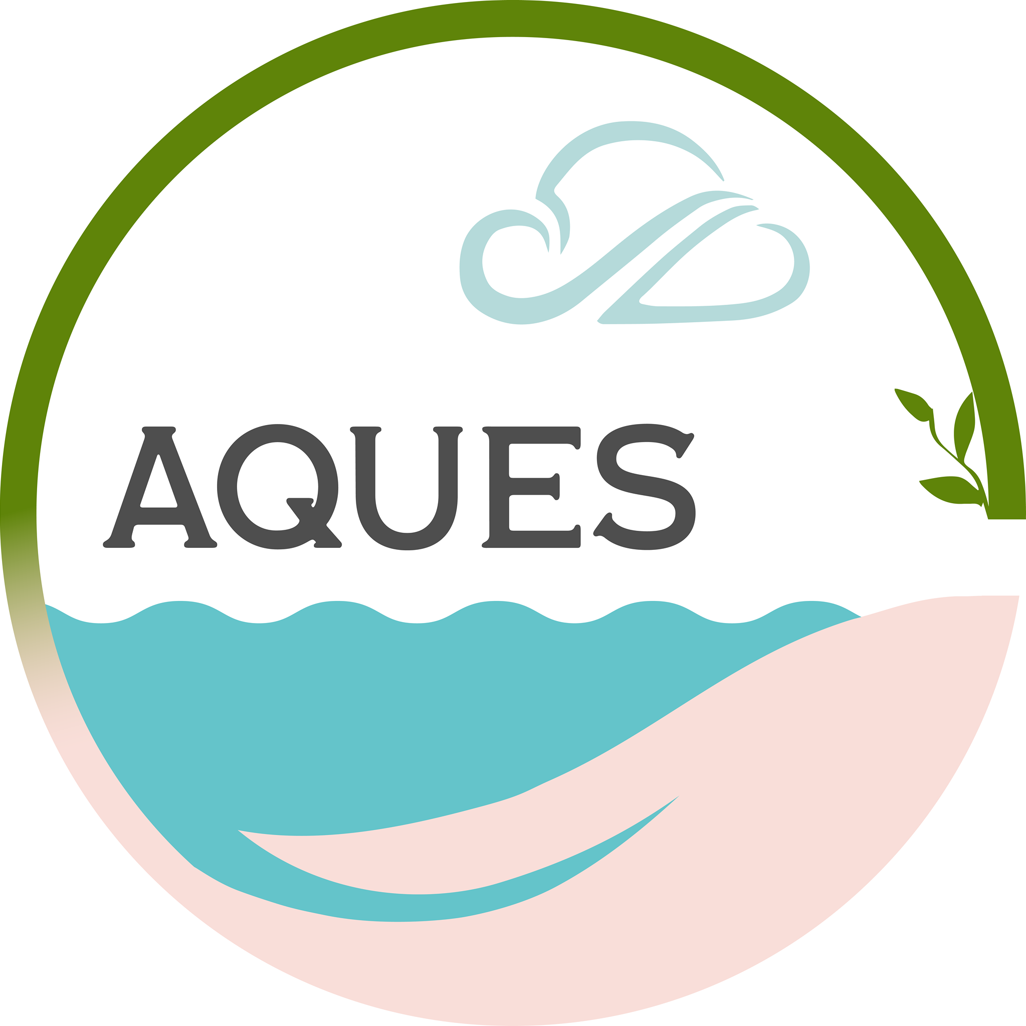 AQUES Image