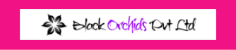 Blackorchids Image