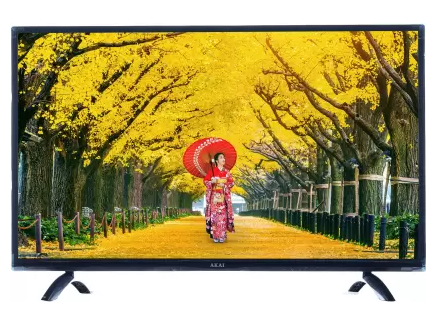 Akai 24 HD Ready LED TV AKLT24N-DC24V Image