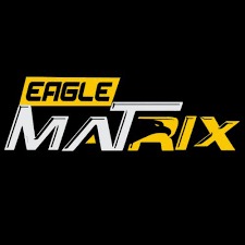 Eagle Matrix Image