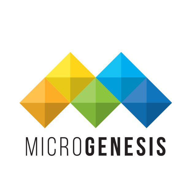 MicroGenesis Techsoft Image