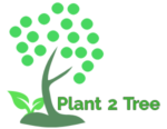 Plant 2 Tree Image