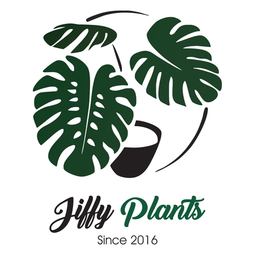 Jiffyplants