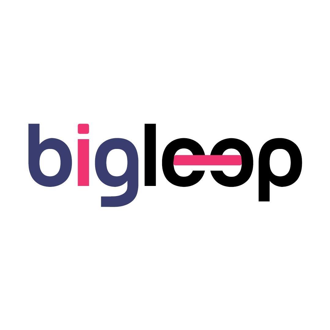 Bigleep Image