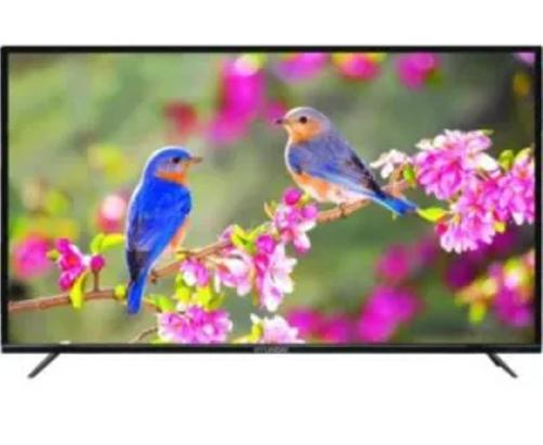 Hyundai 24 Inch LED HD Ready TV (HY2498HHZ24) Image