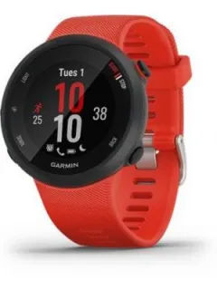 Garmin Forerunner 45 Image