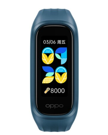 Oppo Band Vitality Edition Image