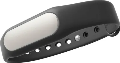 Xiaomi Mi Band Image