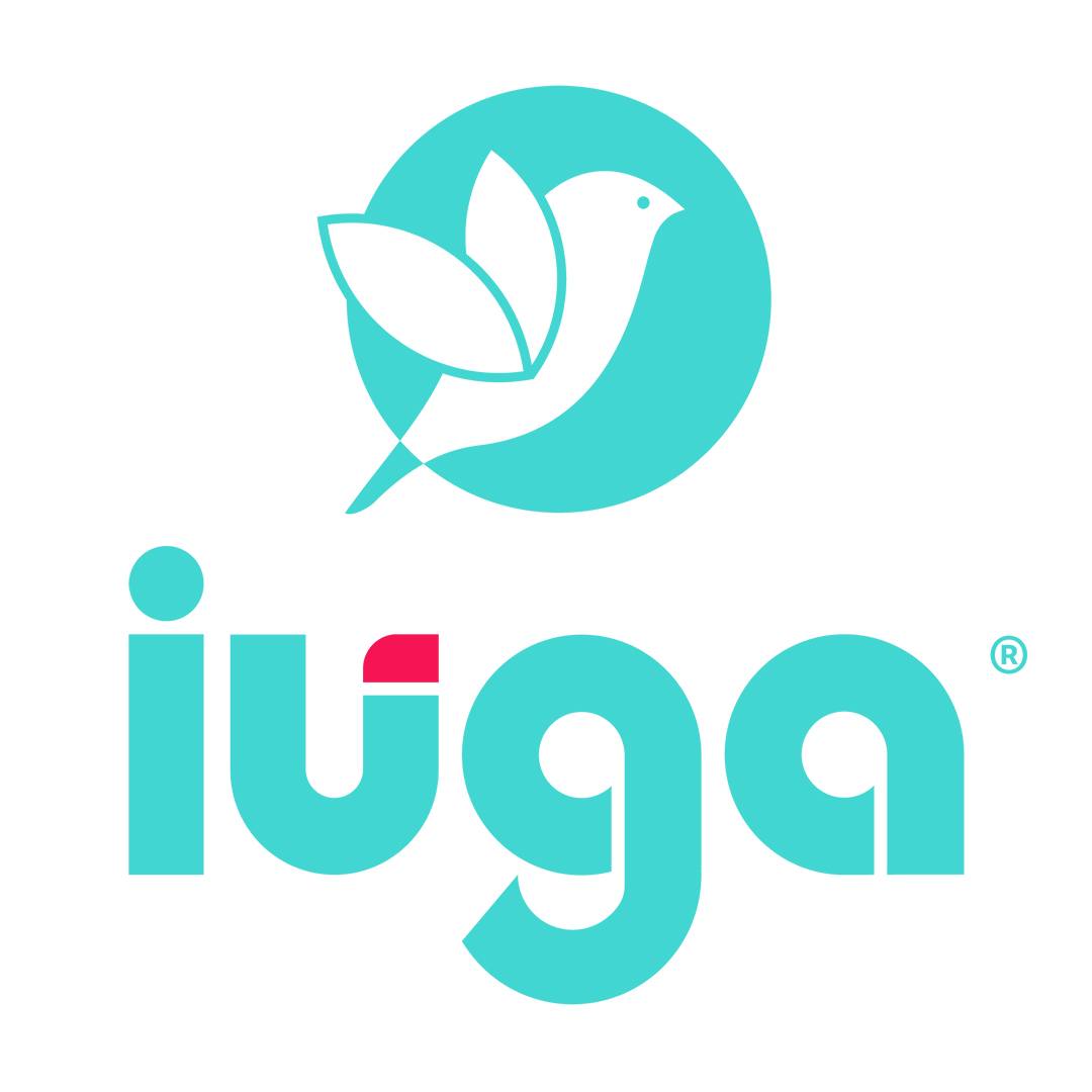 The Iuga Image