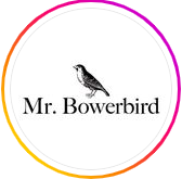 Mr Bowerbird Image