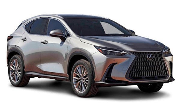 Lexus NX Image