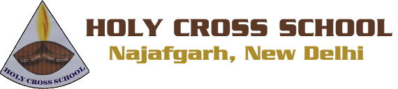 Holy Cross School - Najafgarh - Delhi Image