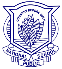 National Public School - Govindpuri - Delhi Image