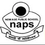 New Age Public School - Hastsal - Delhi Image