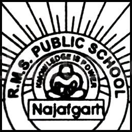 Rao Man Singh Senior Secondary School - Najafgarh - Delhi Image