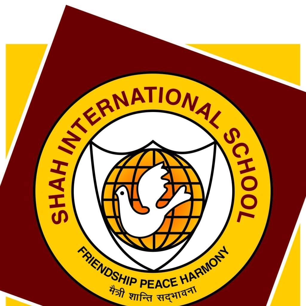 Shah International School - PaschimVihar - Delhi Image