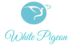 White Pigeon Tours and Travels - Mumbai Image