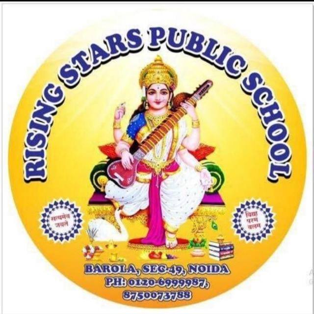 Rising Star Public School - Sector 49 - Noida Image