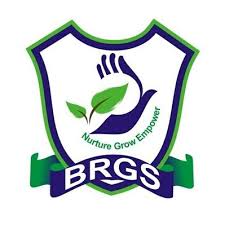 Bharat Ram Global School - Knowledge Park 3 - Greater Noida Image