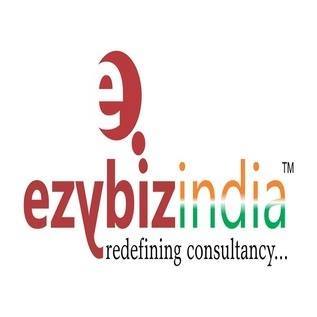 Ezybiz India Consulting Image