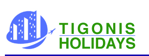 Tigonis Travel & Holidays - Kharghar - Navi Mumbai Image