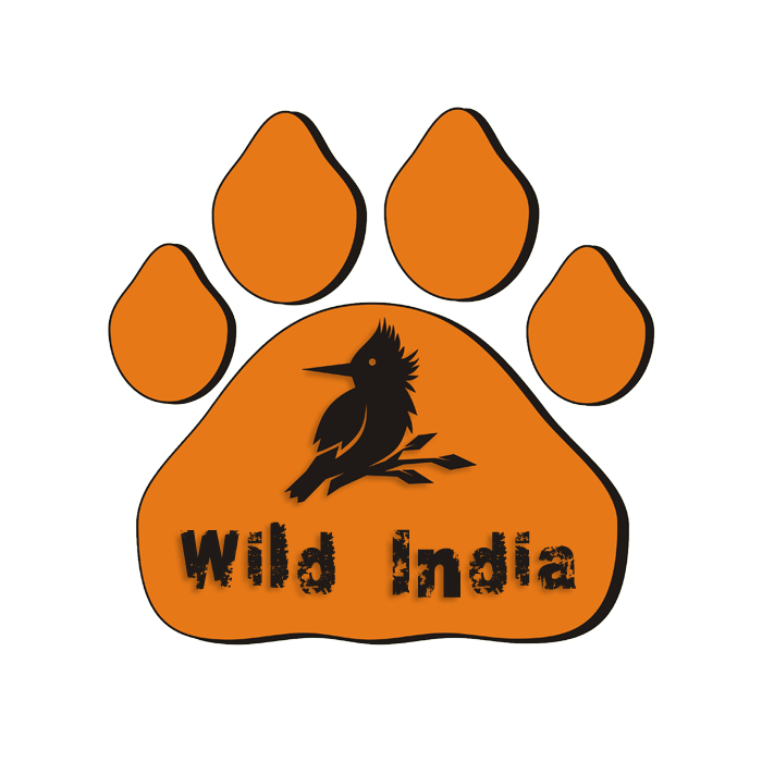 Wild India Eco Tours - Fort - Mumbai Image