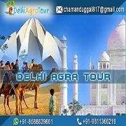 Delhi Agra Tour Package Travels - Uttam Nagar - Delhi Image