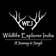 Wildlife Explorer India - Tilak Nagar - Delhi Image