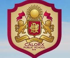 Calorx Public School - Sanganer - Jaipur Image