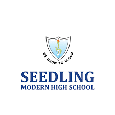 Seedling Modern High School - Durgapura - Jaipur Image