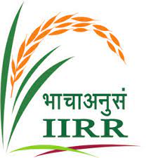 Indian Institute of Rice Research (IIRR) - Hyderabad Image