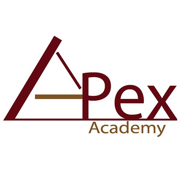 Apex Academy - Raipur Image