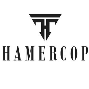 Hamercop