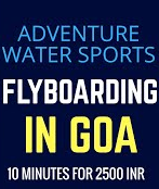 Flyboard India - Goa Image