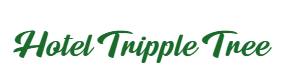 Hotel Tripple Tree - Karol Bagh - New Delhi Image