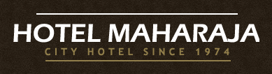 Hotel Maharaja - Rajouri Garden - New Delhi Image