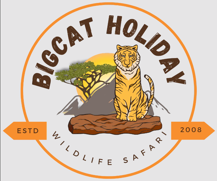 Bigcat Holiday - Saptar - Sawai Madhopur Image