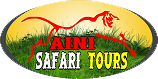 Saini Safari Tours - National Park Road - Sawai Madhopur Image