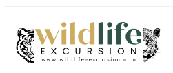 Wildlife Excursion - Khilchpur - Sawai Madhopur Image