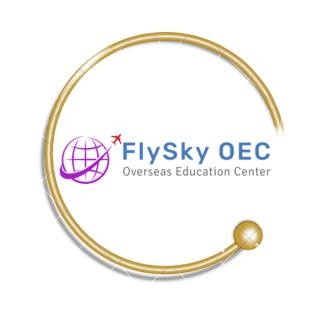 Flyskyoec Image