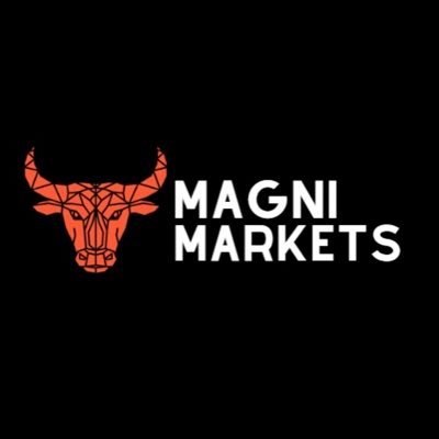 Magnimarkets Image